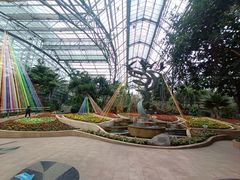 -南山植物园