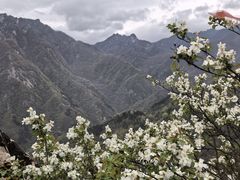 -秦岭终南山世界地质公园翠华山景区
