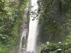 -莫里热带雨林景区