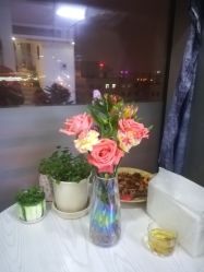 设施-酉嘉瑜伽YO+YOGA