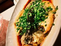 -荷唐·殿 Home Town Palace