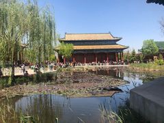 -曹州牡丹园