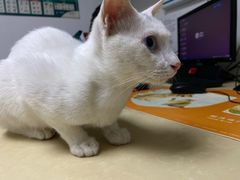 -宠颐生宠物医院外科·内科·皮肤科·影像科(石龙店)