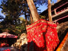 -潭柘寺景区