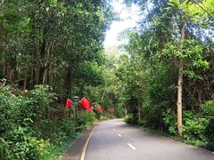 -深圳国际园林花卉博览园