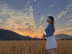 -艾米稻香小镇