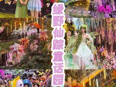 -正佳雨林生态植物园