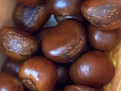 -小宝栗子(嘉华国际商业中心店)