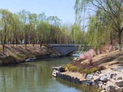 -大兴滨河森林公园