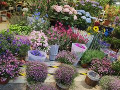 -双季花艺园艺市场(浦东店)