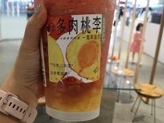 多肉桃李-喜茶(广州番禺奥园广场店)