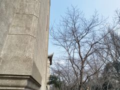 -武汉大学-樱园