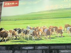 -巴蜀大将火锅(春熙店)