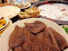 -蜀大侠火锅(森兰花园城店)