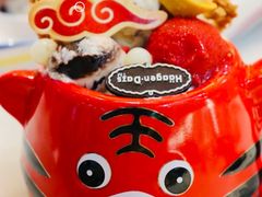 虎虎生威外带冰淇淋杯-哈根达斯(虹口店)