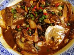 -张鸟园农家乐(张鸟园店)