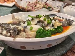 -顺意·顺德家乡菜(国际人才大厦店)