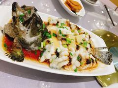 石斑鱼-顺风江南宴(静安大融城店)