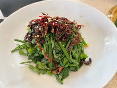 炝油黑皮鸡枞拌麦瓜尖-云腾食府·云南菜