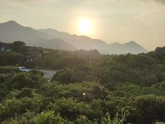 -杨梅坑