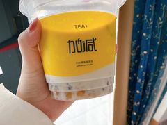 -加减茶饮(高沙店)