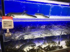 -盒马鲜生(莱蒙都会店)