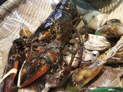 -日进一片海.生腌海鲜火锅.宵夜烧烤(三里屯总店)