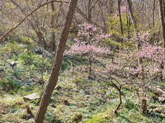 -封龙山风景区