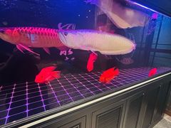 -尊立方海鲜酒店·生日宴·家宴