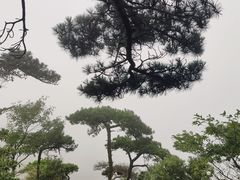 -含鄱口