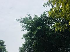 景点-火炉山森林公园