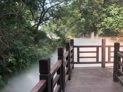 -北京西山国家森林公园