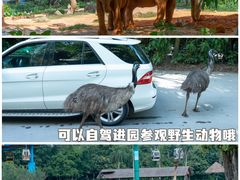 -广州长隆野生动物世界