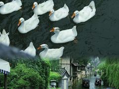 -濂泉响谷