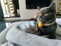 -汤W城市微度假(仓山店)