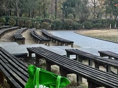 -成都南湖公园