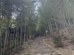 -仙霞关景区