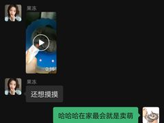 -伟伟宠物医院·CT影像中心·瑞派犬猫综合性门诊(汉口总院)