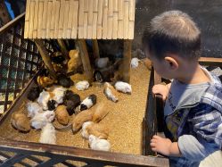 -酷嗒动物文化乐园(cutezoo西溪乐天城店)