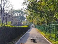 -国家植物园南园