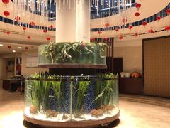 -巴陵全鱼席(湖南老字号汴河街店 )