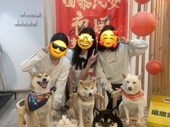 -柴迷FANS CLUB·柴犬狗咖·猫咖