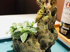 -叶叶菩提·晋福宫