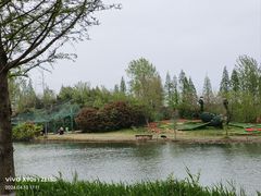 -泗洪洪泽湖湿地景区