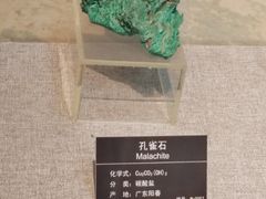 -甘肃地质博物馆