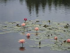 -白鹭湾湿地公园