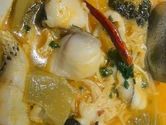-三强鸽子(中原路店)
