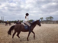 -松声马术俱乐部