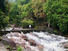 -广州白江湖森林公园