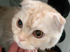 -嘉馨宠物医院·CT影像转诊·心脏科·犬猫全科诊疗中心(下沙大学城院区)